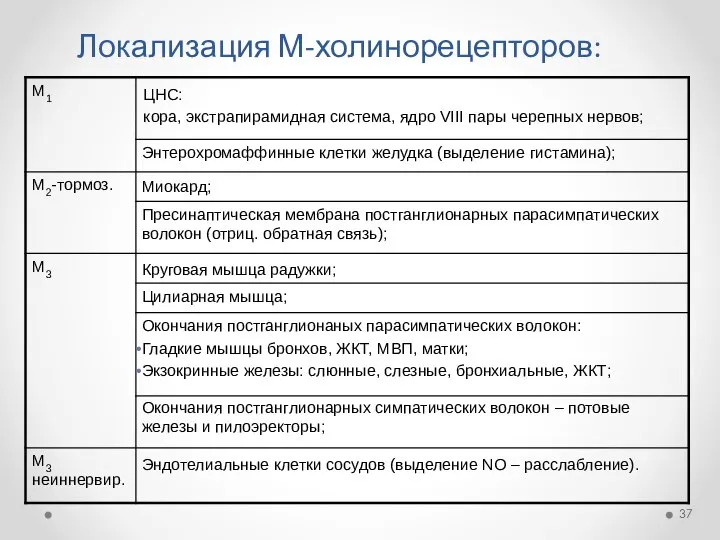 Локализация М-холинорецепторов: ЦНС: кора, экстрапирамидная система, ядро VIII пары черепных нервов;