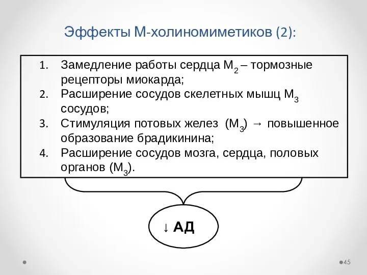 Эффекты М-холиномиметиков (2): Замедление работы сердца М2 – тормозные рецепторы миокарда;