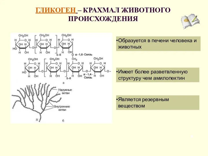 ГЛИКОГЕН – КРАХМАЛ ЖИВОТНОГО ПРОИСХОЖДЕНИЯ Является резервным веществом Образуется в печени