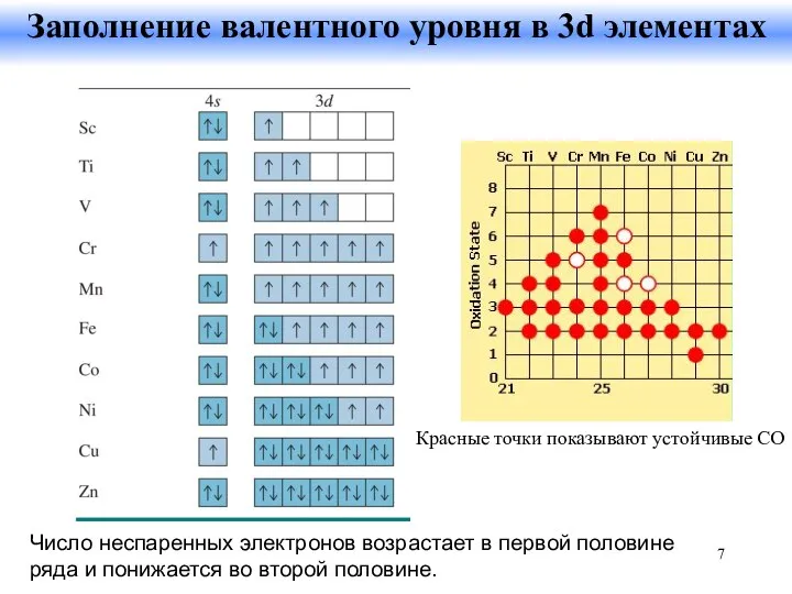 Число неспаренных электронов возрастает в первой половине ряда и понижается во