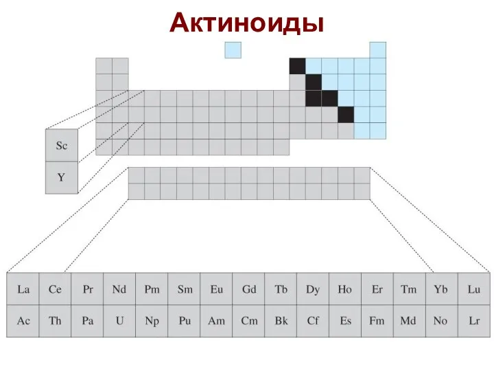 Актиноиды