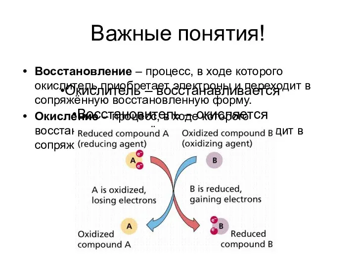 Важные понятия! Восстановление – процесс, в ходе которого окислитель приобретает электроны