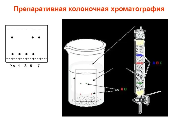 Препаративная колоночная хроматография Р.м. 1 3 5 7