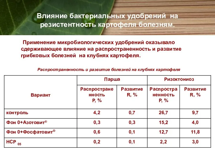 Влияние бактериальных удобрений на резистентность картофеля болезням. Применение микробиологических удобрений оказывало