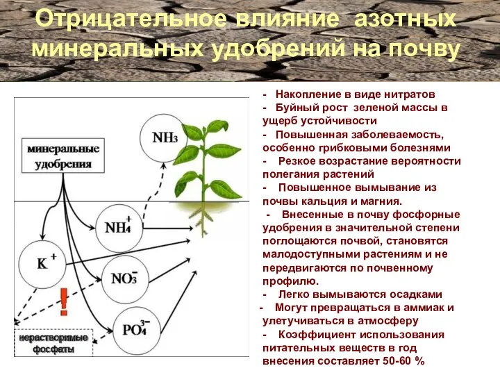 Отрицательное влияние азотных минеральных удобрений на почву - Накопление в виде