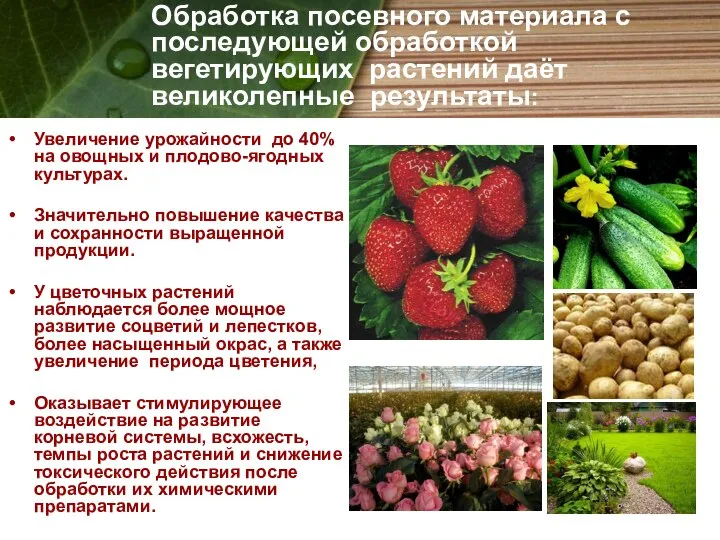 Увеличение урожайности до 40% на овощных и плодово-ягодных культурах. Значительно повышение