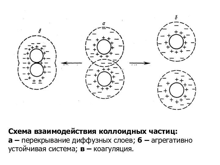 Схема взаимодействия коллоидных частиц: а – перекрывание диффузных слоев; б –