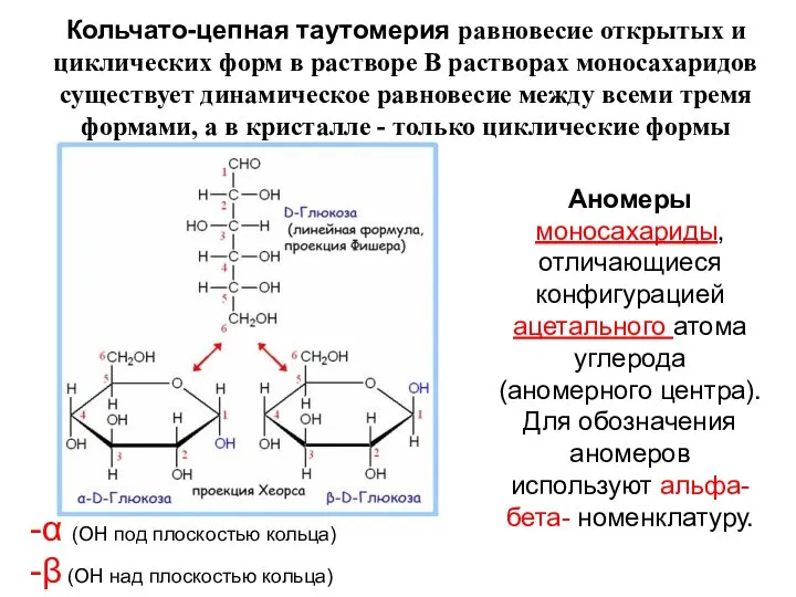 Аномеры моносахариды, отличающиеся конфигурацией ацетального атома углерода (аномерного центра). Для обозначения