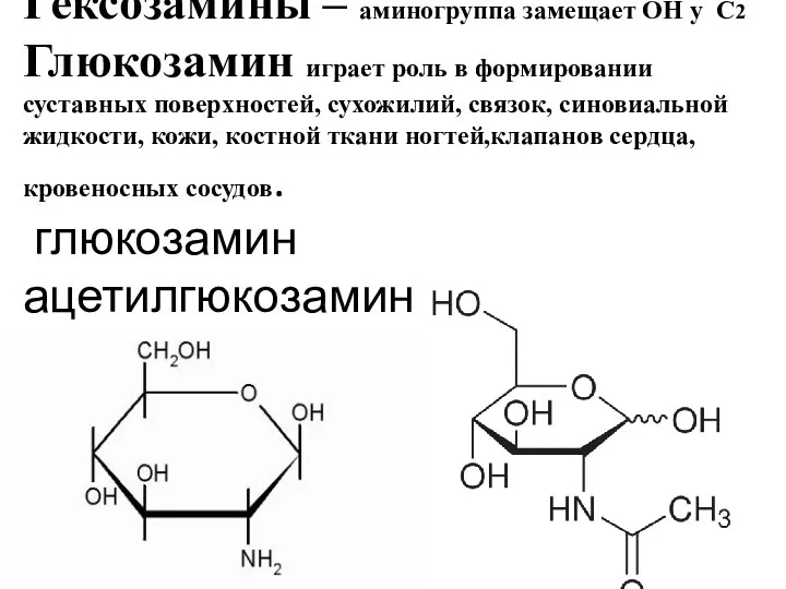 Гексозамины – аминогруппа замещает ОН у С2 Глюкозамин играет роль в