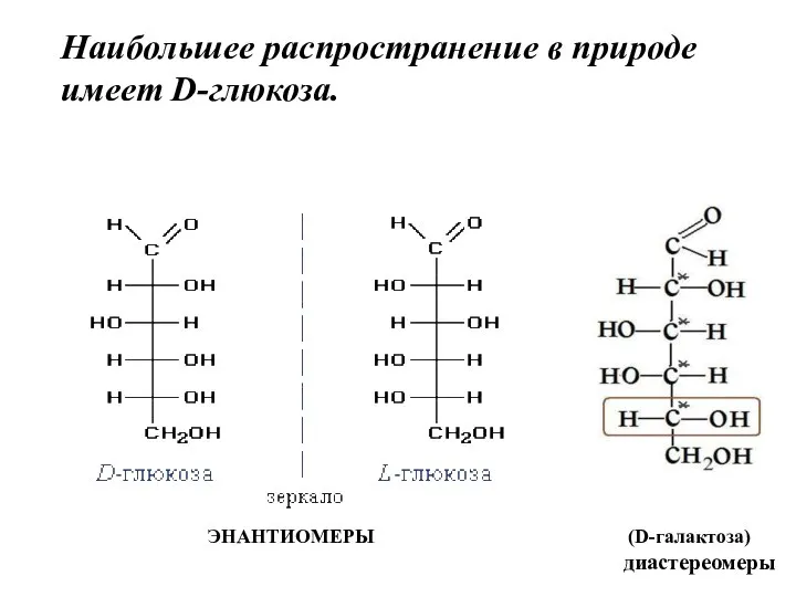 Наибольшее распространение в природе имеет D-глюкоза. ЭНАНТИОМЕРЫ (D-галактоза) диастереомеры