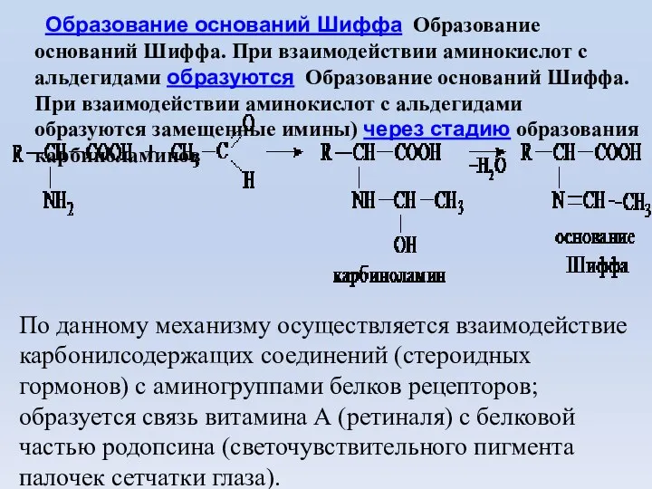 Образование оснований Шиффа Образование оснований Шиффа. При взаимодействии аминокислот с альдегидами