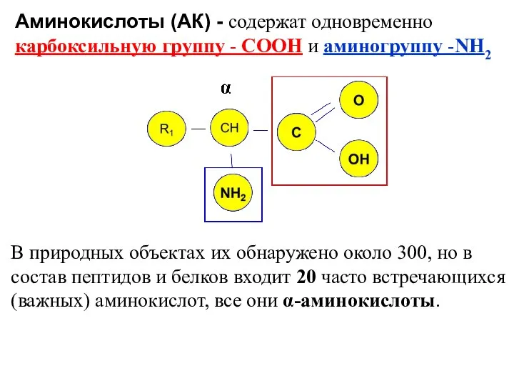 В природных объектах их обнаружено около 300, но в состав пептидов