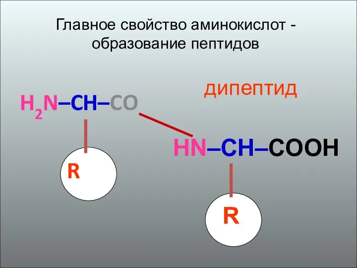 H2N–CH–CO R HN–CH–COOH R дипептид Главное свойство аминокислот - образование пептидов