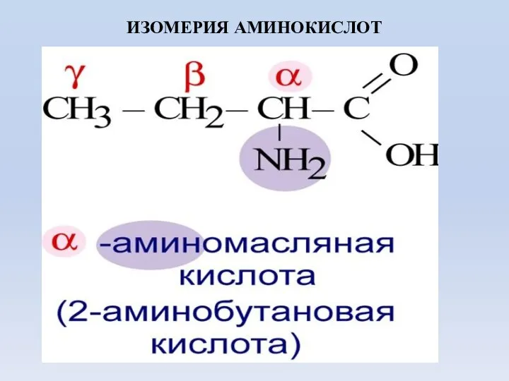 ИЗОМЕРИЯ АМИНОКИСЛОТ