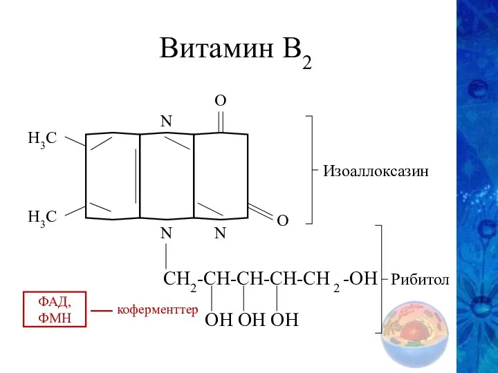 Витамин В2 О О N N N H3C H3C CH2-CH-CH-CH-CH 2