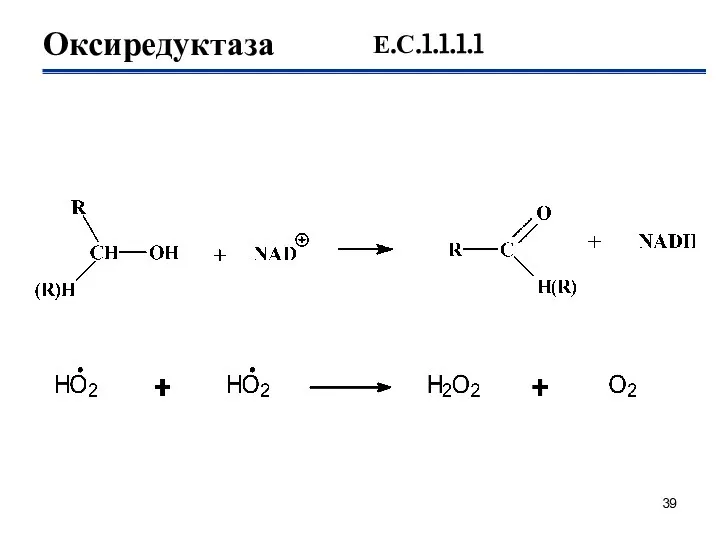 Оксиредуктаза Е.С.1.1.1.1