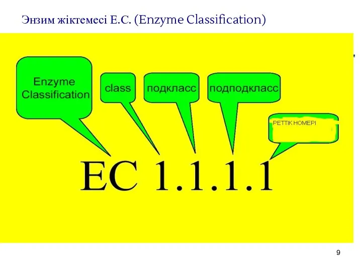 Энзим жіктемесі Е.С. (Enzyme Classification)