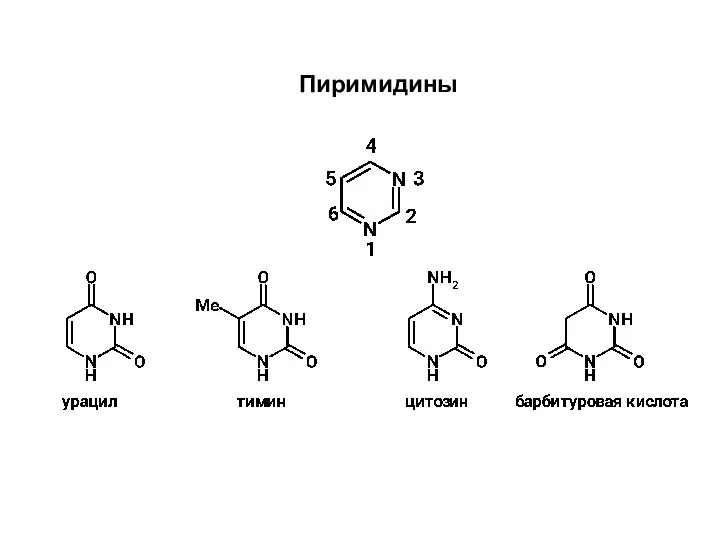 Пиримидины