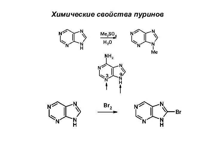 Химические свойства пуринов