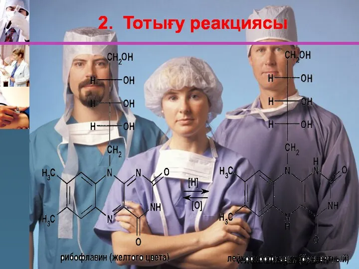 www.themegallery.com 2. Тотығу реакциясы