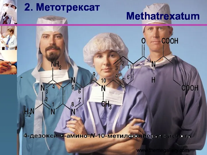 www.themegallery.com 2. Метотрексат Methatrexatum