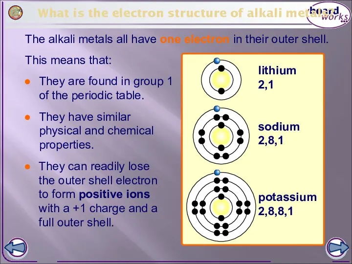 What is the electron structure of alkali metals? The alkali metals