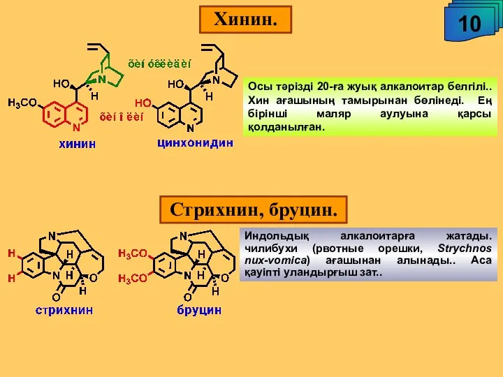 Хинин. 10 Индольдық алкалоитарға жатады. чилибухи (рвотные орешки, Strychnos nux-vomica) ағашынан