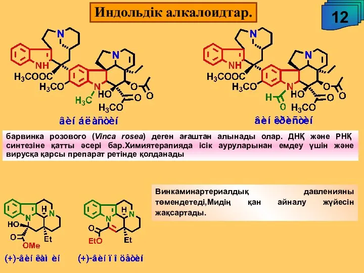 Индольдік алкалоидтар. 12 барвинка розового (Vinca rosea) деген ағаштан алынады олар.