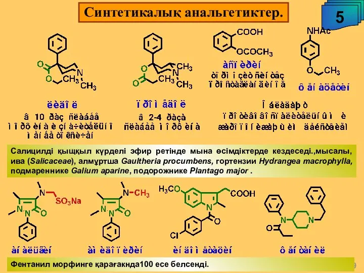 Синтетикалық анальгетиктер. 5 А.М. Чибиряев "Биологически активные соединения живых организмов", 2009