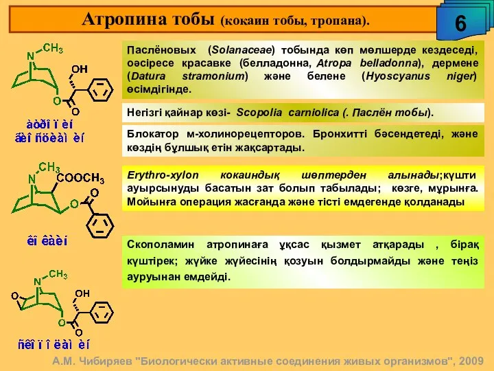 Атропина тобы (кокаин тобы, тропана). 6 А.М. Чибиряев "Биологически активные соединения