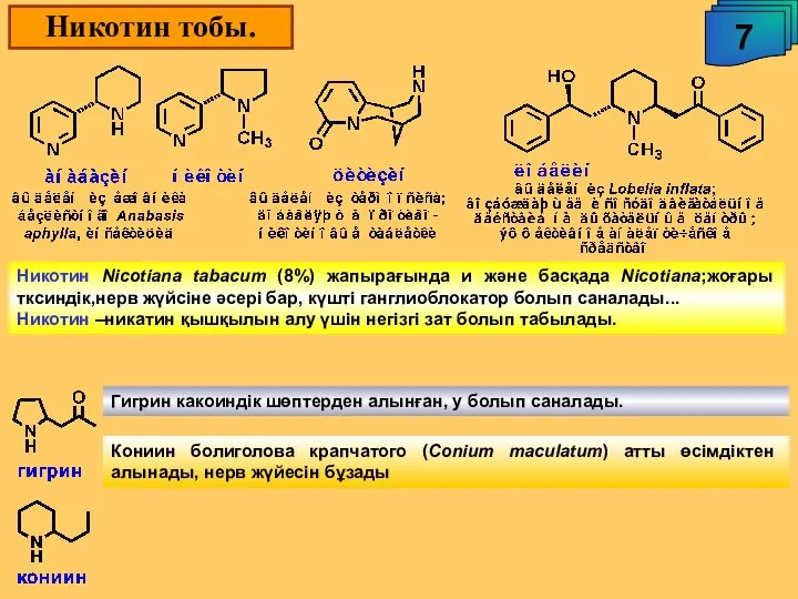 Никотин тобы. 7 Никотин Nicotiana tabacum (8%) жапырағында и және басқада