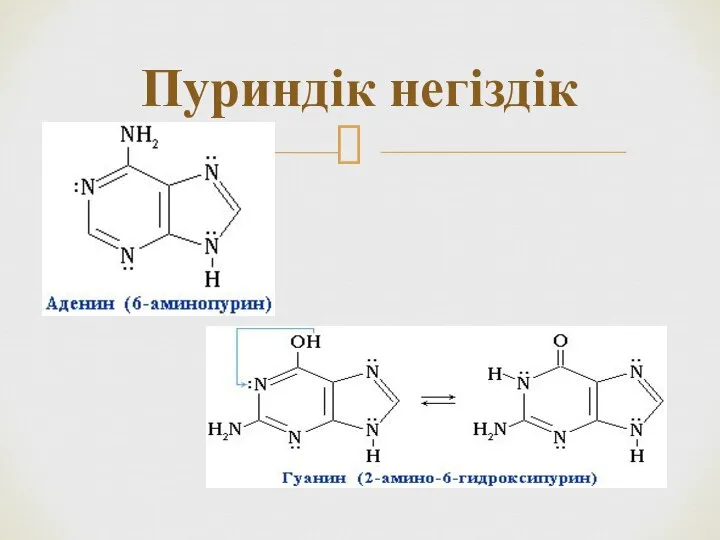 Пуриндік негіздік