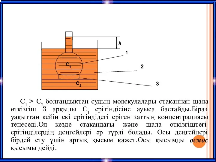 C1 > C2 болғандықтан судың молекулалары стаканнан шала өткізгіш 3 арқылы