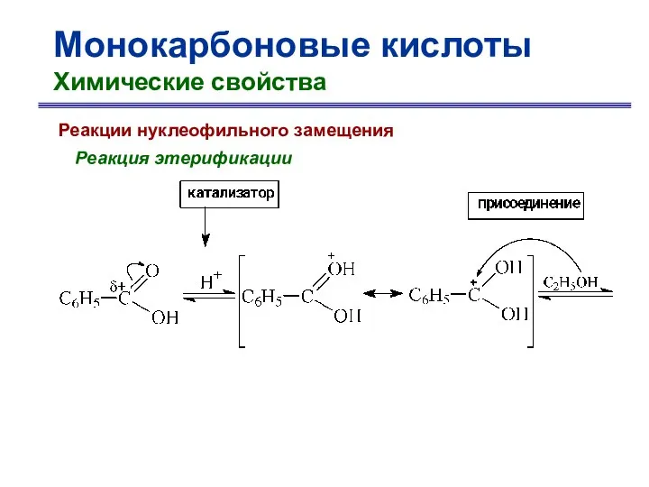 Монокарбоновые кислоты Химические свойства Реакции нуклеофильного замещения Реакция этерификации