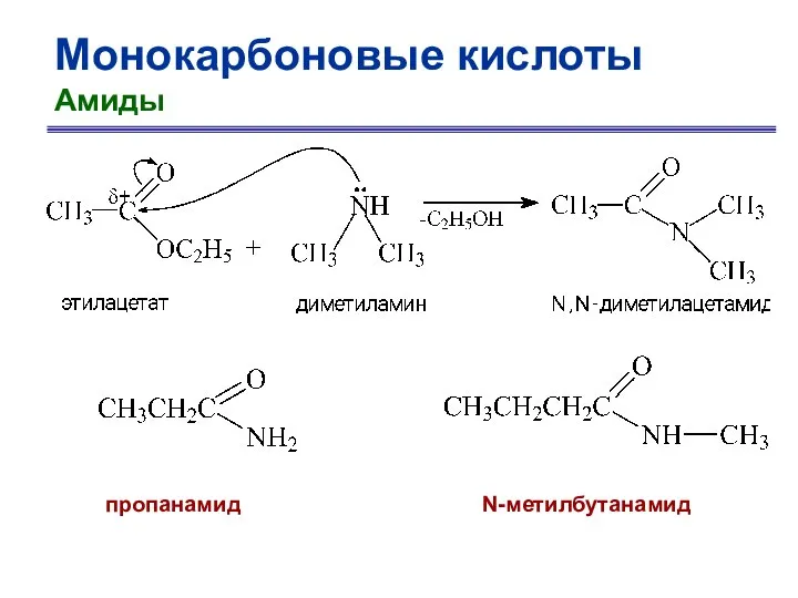 Монокарбоновые кислоты Амиды N-метилбутанамид пропанамид