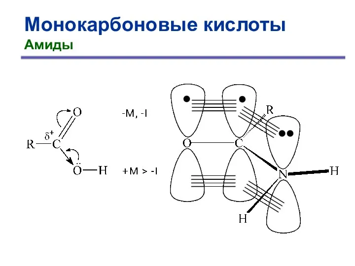 Монокарбоновые кислоты Амиды