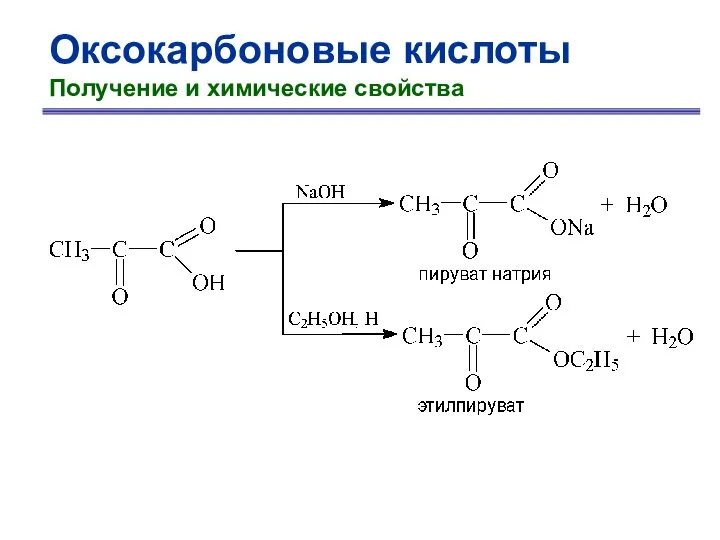 Оксокарбоновые кислоты Получение и химические свойства