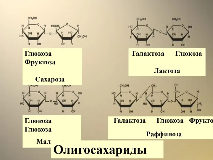 Глюкоза Фруктоза Сахароза Галактоза Глюкоза Лактоза Глюкоза Глюкоза Мальтоза Галактоза Глюкоза Фруктоза Раффиноза Олигосахариды