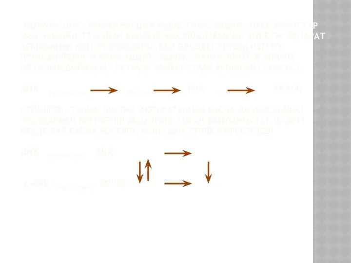 РЕПЛИКАЦИЯ, ТРАНСКРИПЦИЯ ЖӘНЕ ТРАНСЛЯЦИЯ - ПРОКАРИОТТАР МЕН ЭУКАРИОТТАРДЫҢ БАРЛЫҚ ЖАСУШАЛАРЫНДА ЖҮРЕТIН