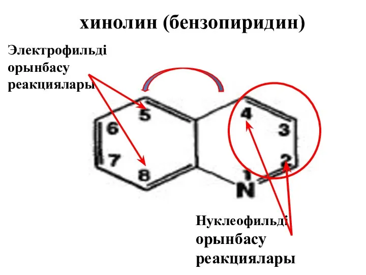 хинолин (бензопиридин) Электрофильді орынбасу реакциялары Нуклеофильді орынбасу реакциялары