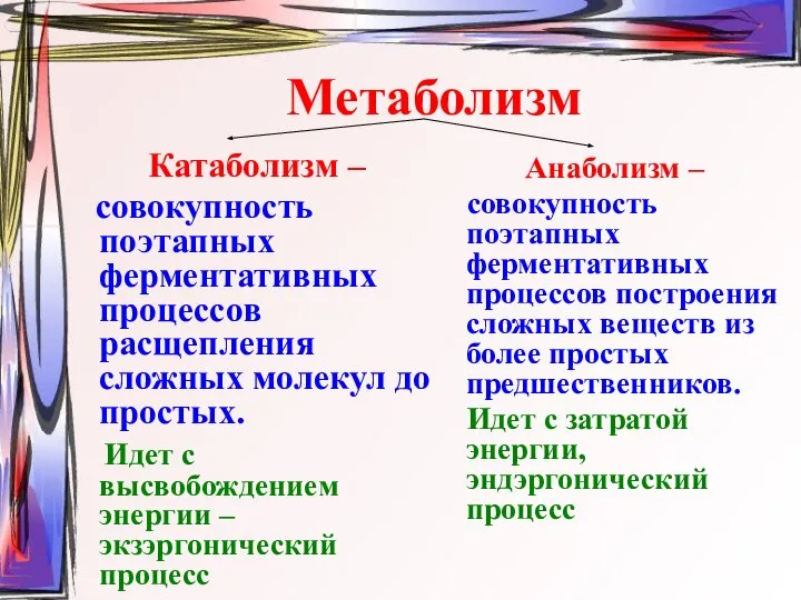 Метаболизм Катаболизм – совокупность поэтапных ферментативных процессов расщепления сложных молекул до