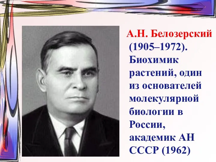 А.Н. Белозерский (1905–1972). Биохимик растений, один из основателей молекулярной биологии в России, академик АН СССР (1962)