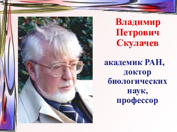 Владимир Петрович Скулачев академик РАН, доктор биологических наук, профессор