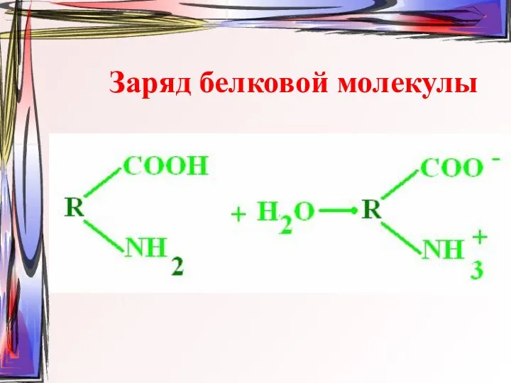 Заряд белковой молекулы