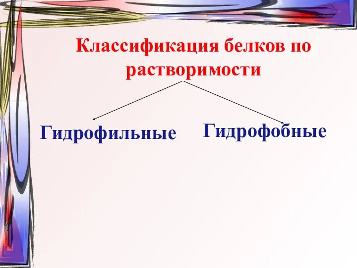 Классификация белков по растворимости Гидрофильные Гидрофобные