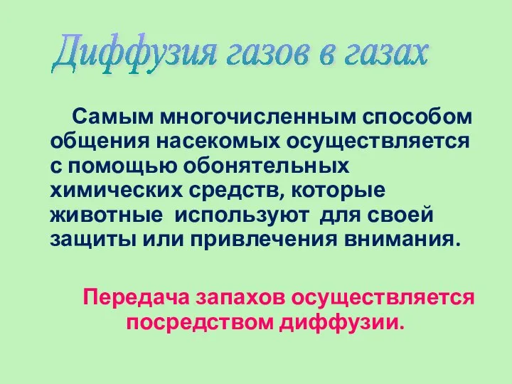 Самым многочисленным способом общения насекомых осуществляется с помощью обонятельных химических средств,