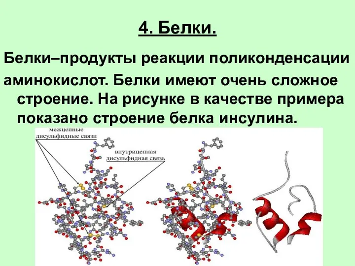 4. Белки. Белки–продукты реакции поликонденсации аминокислот. Белки имеют очень сложное строение.