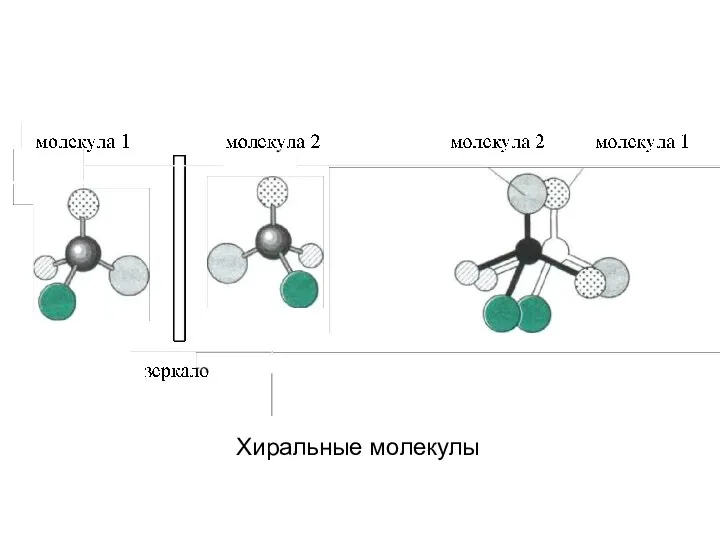 Хиральные молекулы