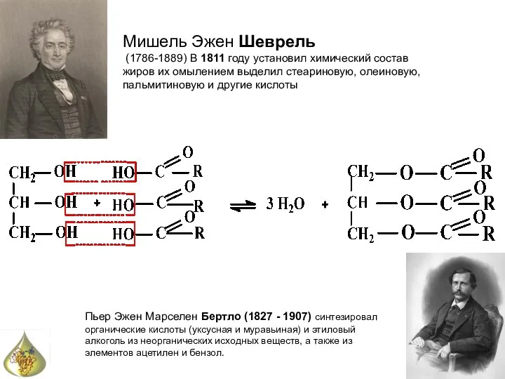 Мишель Эжен Шеврель (1786-1889) В 1811 году установил химический состав жиров