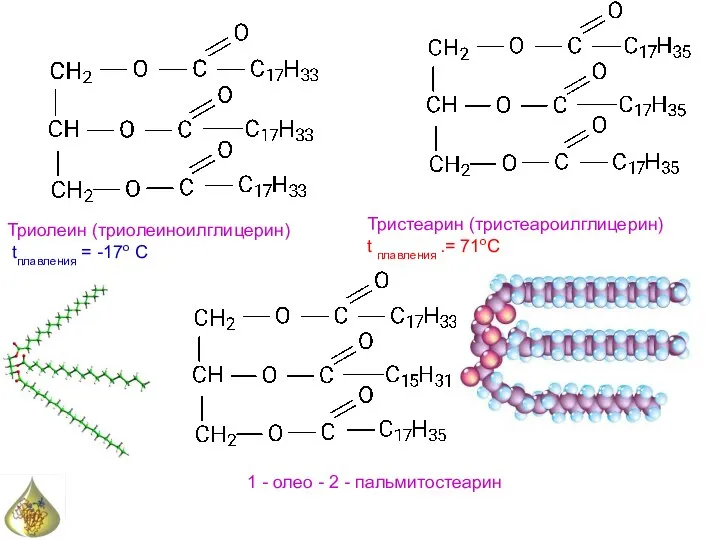 Триолеин (триолеиноилглицерин) tплавления = -17о С Тристеарин (тристеароилглицерин) t плавления .=